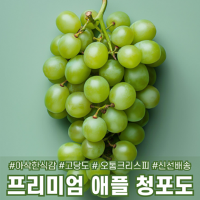 [다정한과일] 초고당도 프리미엄 애플청포도 오톰크리스피, 1세트, 2kg