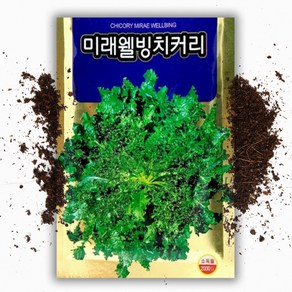 치커리 씨앗(2000립)