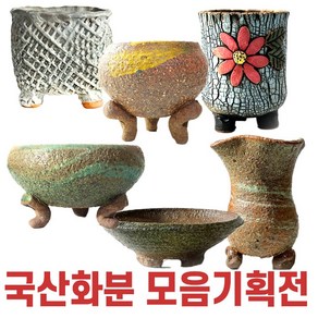 국산 다육이 화분, 21번, 1개