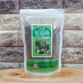 금산한누리식품 인진쑥환(300g)(지퍼백), 300g, 1개