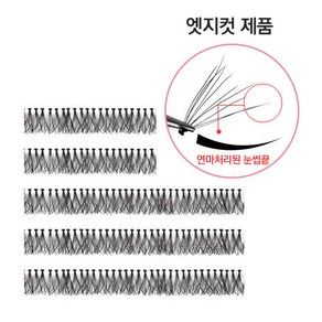 로이엘 부분속눈썹 10줄 속눈썹_0.06_5P_블랙_엣지 투명줄, 1개, 12호