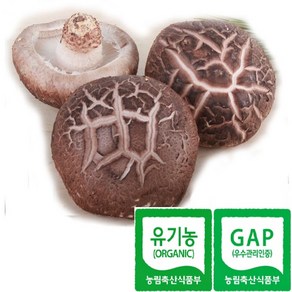 한그루 유기농/GAP 생표고버섯(상급) 1kg당 16 000원, 1개, 1kg