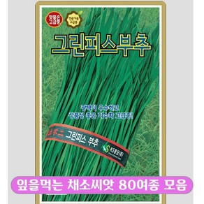 엽채류씨앗 80여종모음, 43. 부추 그린피스 부추  400g, 1개