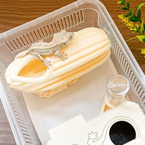 크레 캡슐 백업 도마뱀 파충류 크레스티드게코 게코, 1개, 중 3.화이트