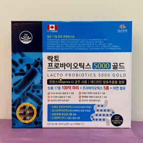 Made in CANADA 락토 프로바이오틱스 5000 골드 120캡슐 생균 17종 100억마리, 1개, 120정