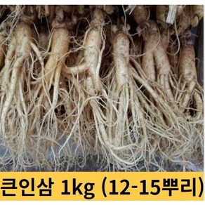 큰인삼 수삼 5 6년근 인삼 1kg 12-15뿌리 금산인삼 세척수삼, 세척원하지않아요(X), 1개