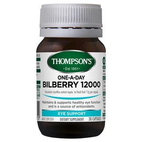 Thompsons 눈건강 블루베리 30 캡슐 뉴질랜드 One a Day Bilbey 30 Capsules, 1개, 30정