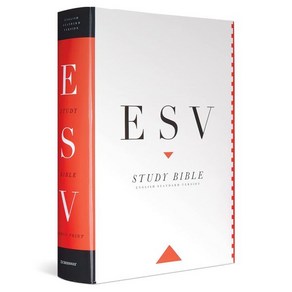 ESV 스터디 바이블 라지 프린트