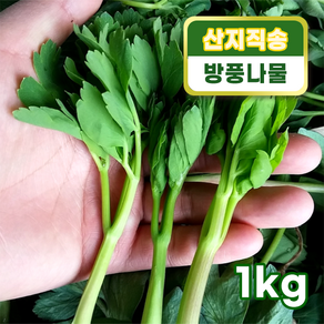 [제철] 여수 방풍나물 1kg 여수 금오도 방풍나물 피부트러블 염증완화 해독효과 자연산 신선 노지재배 나물반찬 산나물 봄나물 풍예방, 1개