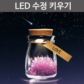 LED 수정키우기R, 1개