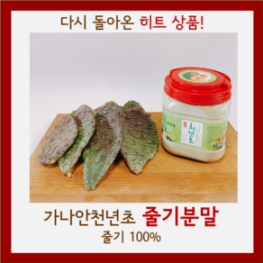 가나안천년초 줄기분말 1kg