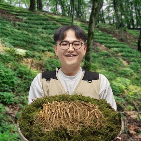 도담산삼 6년근 파삼 못난이삼 못난이산양삼 산양산삼 장뇌삼 산삼, 1개, 6년근 파삼 200g