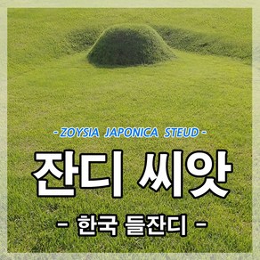 한국잔디씨앗20g(1.5평방미터용) 최근종자 잔디씨 산소 정원 공원 묘지 골프장용