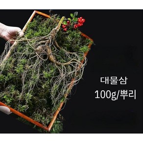 20년근 백두산 임하삼 장뇌삼 산양산삼 100g/뿌리