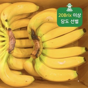 고랭지 고당도 바나나 대용량 소량 가정용 해외 바나나 한송이, 1개, 2.5kg