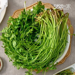 제철 국내산 노안 미나리 500g 1kg, 02. 노안 미나리 500g, 1개