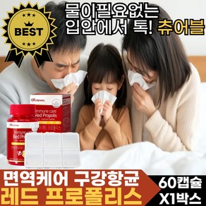 씹어먹는 레드 프로폴리스 브라질 환절기 면역력 구강 내 항균작용 항산화 캡슐 츄어블 영양제, 60정, 1박스