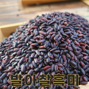 강원 원주 24년산 국산 발아찰흑미 1kg 발아흑미, 1개