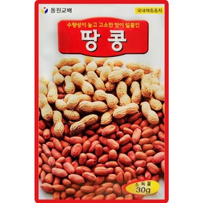 동원 땅콩 씨앗 30g, 1개