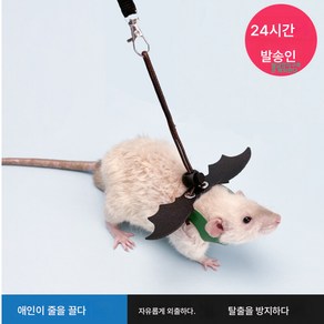 햄스터 꽃가지 쥐꿀주머니 날갯짓줄 산책줄 금사곰줄 단련 애견 고슴도치줄 용품, 색깔4, 1개