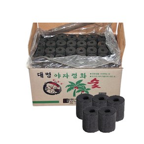 대명 야자숯 120개입, 120개
