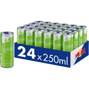 Red Bull 레드불 에너지 드링크 써머 에디션 2024 쿠루바 엘더플라워 250ml 24캔