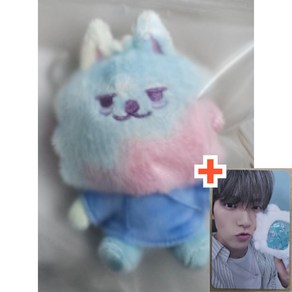 [정품 현장구입 / 정품 / 국내 배송] [TXT TOMRROW X TOGETHER] PPULBATU X SANCTUARY RAINBOW PLUSH KEYRING + 특전, 수빈(SOOBIN)