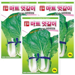 마트엇갈이 20g 얼갈이배추씨앗, 3개