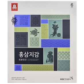 정관장 홍삼지감 30포 20포 (리뉴얼) 홍삼정 사포닌 항산화, 1.5L, 1개