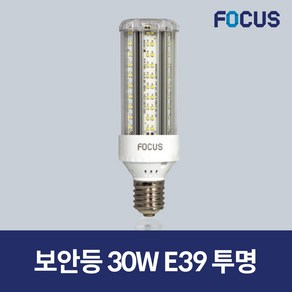 포커스 LED 보안등 파워램프 30W 투명, E39, 1개