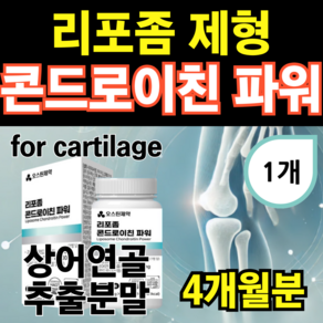 리포좀 콘드로이친 약국용 식약청 식약처 HACCP 인증 상어 연골 콘드로이친황산 리포조말 iposome, 1개, 120정