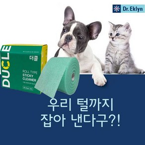 닥터에클린 더클 점착 청소포, 10개