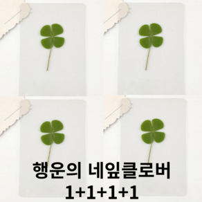 코팅 행운의 네잎클로버 1+1+1+1, 4개, 녹색