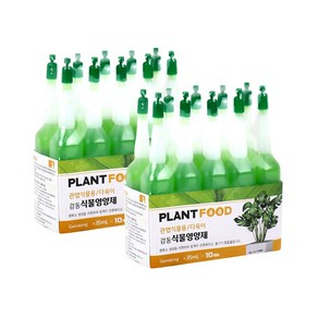 감동 식물영양제 관엽식물용/다육이 10P, 2개, 350ml