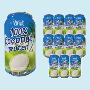 코코넛워터 100프로 순수코코넛음료 허니박스, 12개, 330ml