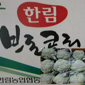 알뜰 농장 국내산 햇 브로콜리 최상품 1kg/4kg내외, 1개, 국내산 브로콜리 4kg 내외, 4kg