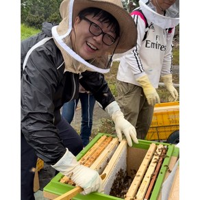 제주 꿀벌 아빠의 천연 감귤꽃 꿀 100% 스틱꿀 5개 15개 30개