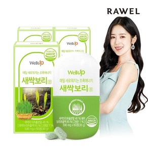 로엘 웰업 타블랩 새싹보리 새싹보리정 60정 x 3통, 3개