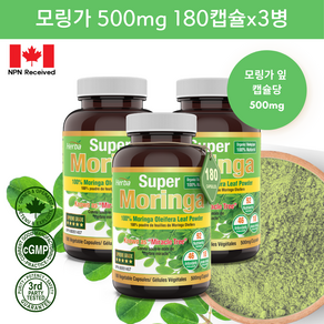 모링가 1000mg 180식물성캡슐 모링가잎 가루 분말 허바 캐나다