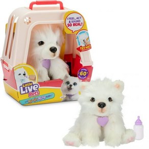 Little Live Pets My Really Real Puppy Luna The Samoyed Interactive Toy Puppy 60+ Sounds and Reacti