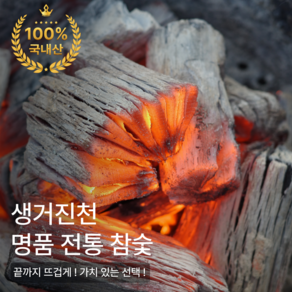 [진천참숯] 오래가는 국내산 백탄 숯 캠핑 바베큐 국산 숫 추천 야외용 펜션 고기집 구이용 업소용 1박스, 1개, 1kg