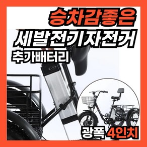 편안타 승차감 좋은 세발 전기 자전거 전동 출퇴근 삼륜 펫 바이크, 블랙, 스틸