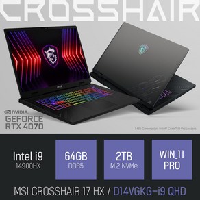 MSI 크로스헤어 17 HX D14VGKG-i9 QHD, WIN11 Po, 64GB, 2TB, 그레이