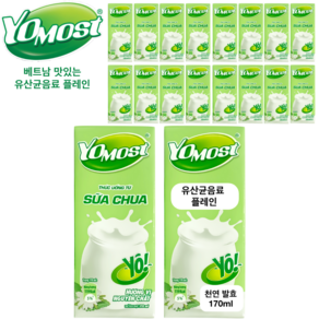 베트남 맛있는 요모스트 요구르트 플레인, 24개, 170ml