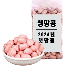 [녹색생활관] 중국산 생땅콩 2024년 땅콩생땅콩 햇땅콩, 1개, 5kg