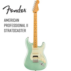 Fender American Professional II Stratocaster HSS Mercury Rosewood 펜더 기타 해외배송