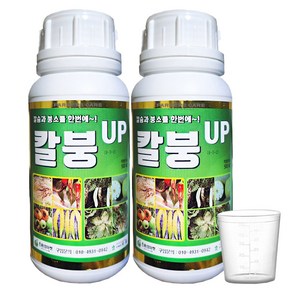 파머스케어 칼붕업 500ml 2병 칼슘 붕소 비료 식물영양제 복합비료 배추 고추 마늘 양파 칼슘부족 해결 배추칼슘제, 2개