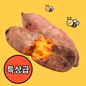 청년고집 24년 해남 햇 밤 꿀 고구마, 1박스, 특상 3kg