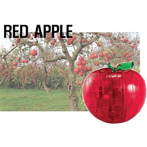 3D크리스탈 입체퍼즐-레드애플(Red Apple) 44조각, 1개