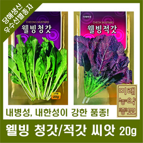 웰빙 청갓/적갓 씨앗 20g - 청갓 씨앗 적갓 씨앗 mustad geens, 1개